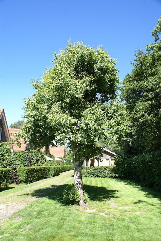 Eureka Vakantiehuisjes Schoorl Exterior foto